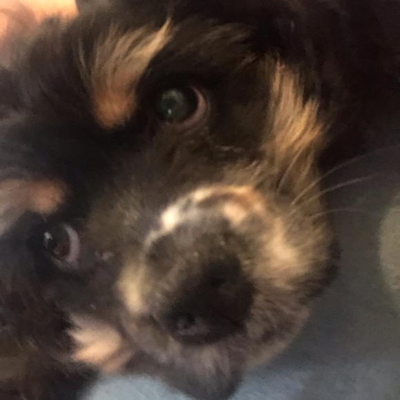 Meet your Posher, Christine - Picture 9 of 16